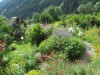 Bild 57