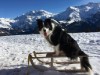 Bild 23 - Ude