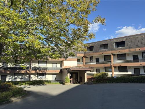 Ferieleilighet - 6 personer -  - 59955 - Winterberg