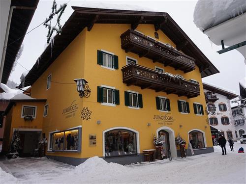 Ferielejlighed - 6 personer -  - Nr. - 5090 - Lofer