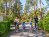 Image 33