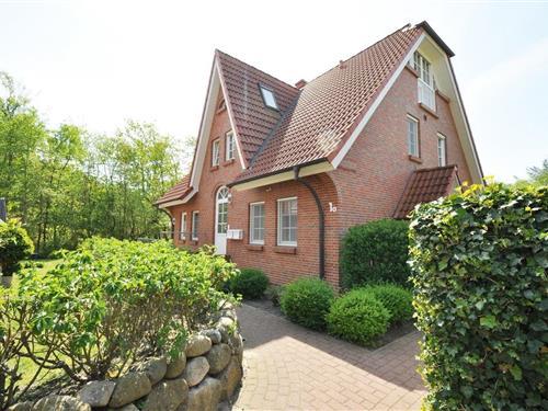 Ferielejlighed - 2 personer -  - Deichgrafenweg - 25826 - St Peter-Ording