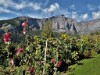 Bild 34 - Aussen