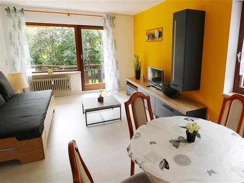 Ferienhaus - 4 Personen -  - Professor-Wurm-Str. - 79862 - Höchenschwand