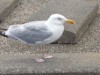 Bild 21