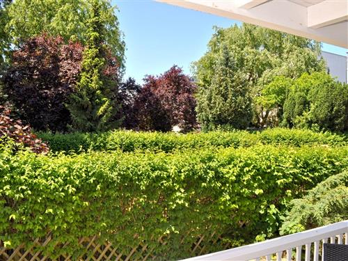 Ferienwohnung - 6 Personen -  - Paduaweg - 23669 - Niendorf/Ostsee