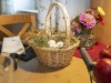 Image 13