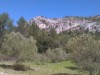 Billede 10