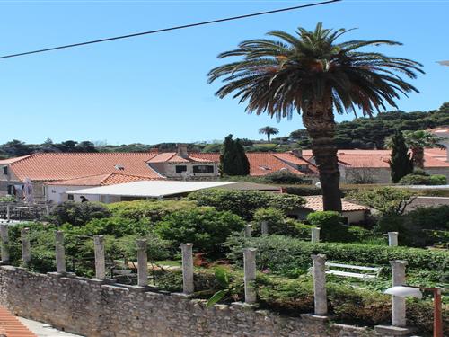 Ferielejlighed - 3 personer -  - 20000 - Dubrovnik