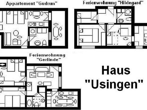 Holiday Home/Apartment - 15 persons -  - Lindenstraße - 61250 - Usingen