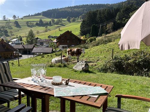 Holiday apartment - 4 persons -  - Todtnau - 79674