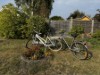 Bild 41