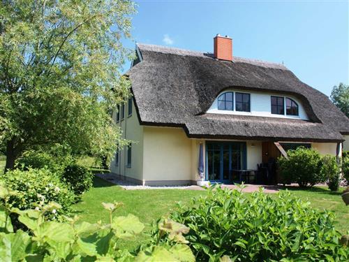 Feriesenter - 9 personer -  - Puddemin - 18574 - Poseritz / Puddemin