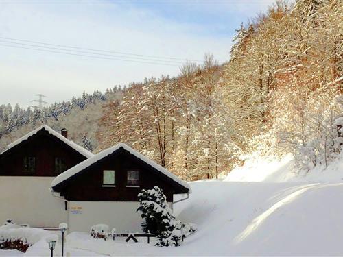 Ferielejlighed - 3 personer -  - 98746 - Goldisthal