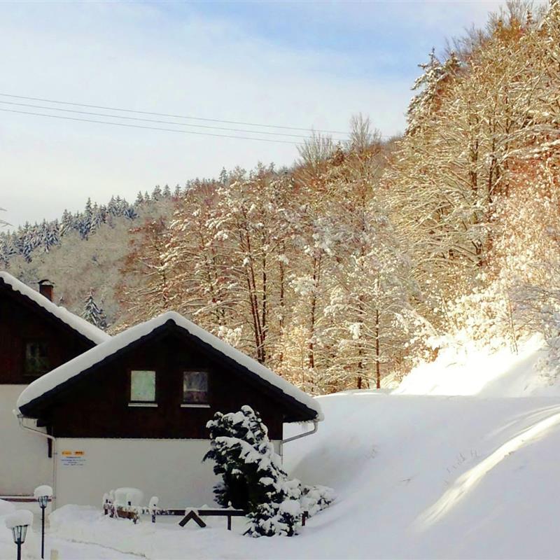 Ferielejlighed - 3 personer -  - 98746 - Goldisthal