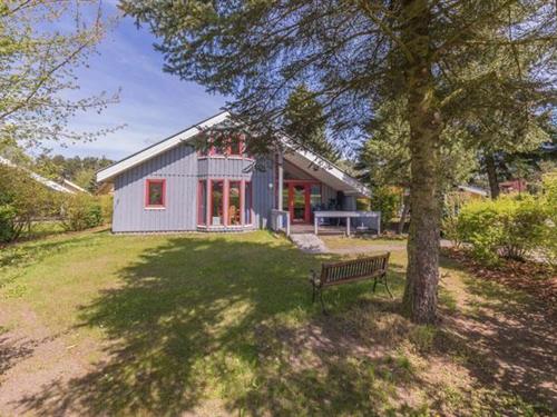 Sommerhus - 6 personer -  - Walter-Gotsmann-Straße - 17252 - Mirow