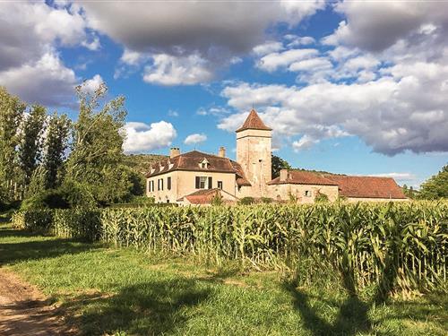 Herskabsvilla - 15 personer -  - 46330 - Cénevières