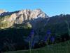 Bilde 4