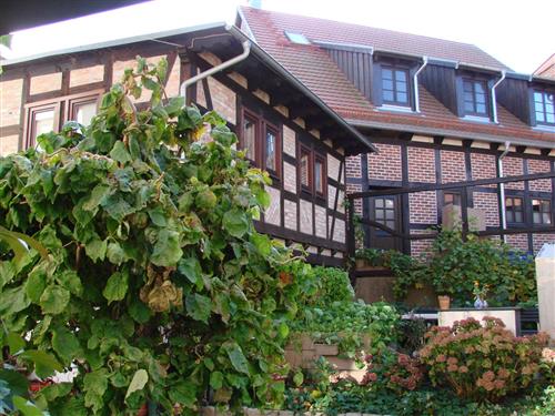 Holiday Home/Apartment - 3 persons -  - Lange Straße - 17438 - Wolgast