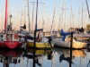 Bilde 26