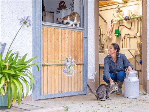 Bondegård - 4 personer -  - Promeggen - 9655 - Maria Luggau