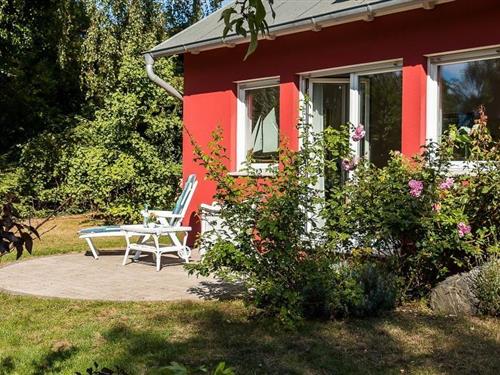 Sommerhus - 2 personer -  - Fritz-Grebe-Weg - 18347 - Ostseebad Ahrenshoop