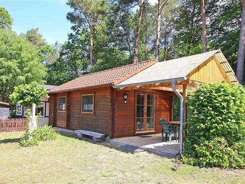 Fritidshus - 3 personer -  - Am Zootzen - Rheinsberg Ot Zechlinerhütte - 16831 - Rheinsberg Ot Zechline