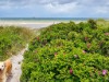 Bild 24 - Blick über's Wasser