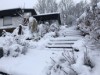 Bild 17