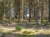 Billede 28 - Område
