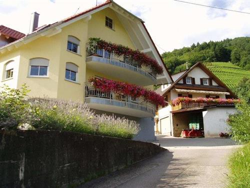 Sommerhus - 3 personer -  - 77794 - Lautenbach