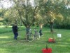Bild 22