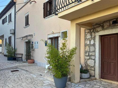 Holiday home - 4 persons -  - Dracevac - Porec - 52440 - Dracevac