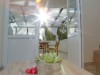 Image 26