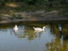 Bild 17