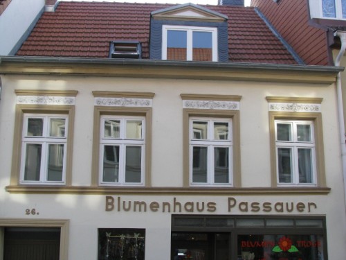 Ferielejlighed - 3 personer -  - Greifswald - 17489
