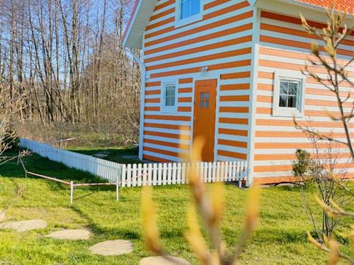 Holiday home - 6 persons -  - Choczewo - 84-210