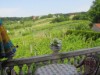 Bild 4 - Ude