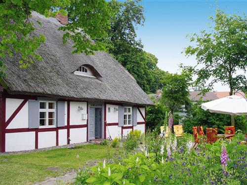 Ferienwohnung - 4 Personen -  - 18574 - Zudar