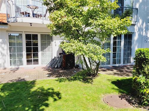 Ferieleilighet - 4 personer -  - Neue Reihe - 18374 - Ostseeheilbad Zingst