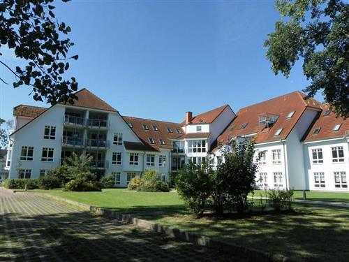 Holiday Home/Apartment - 5 persons -  - Ostseeallee - 23946 - Boltenhagen