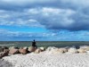 Bild 26 - Blick über's Wasser