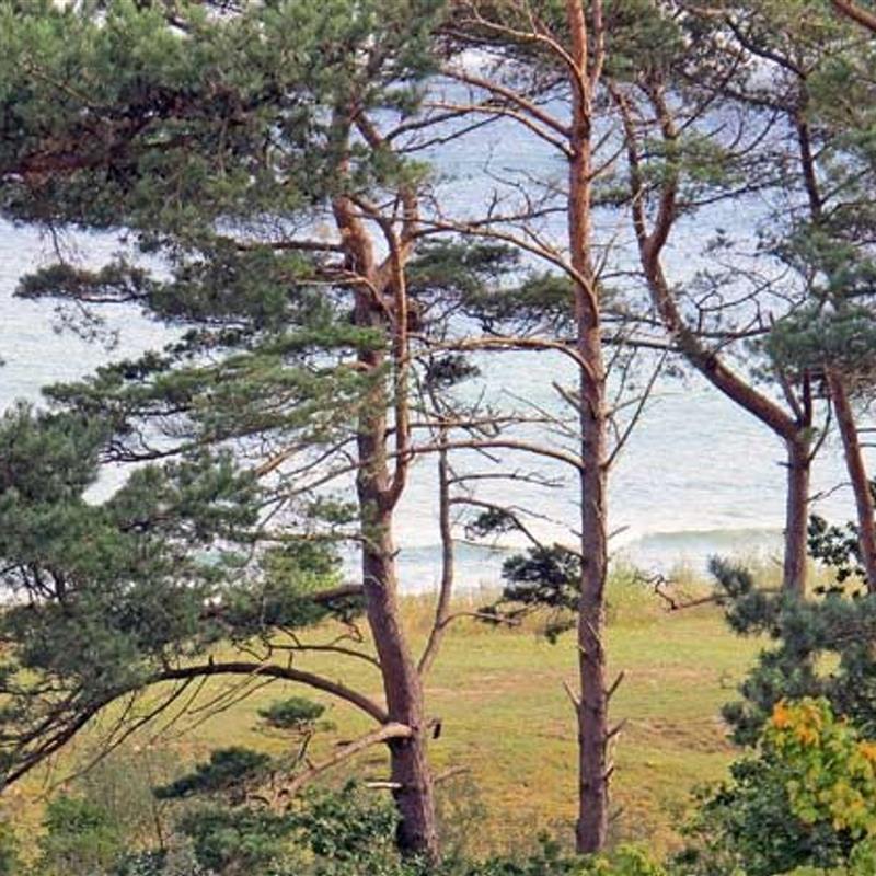 Ferielejlighed - 4 personer -  - Am Inselparadies - 18586 - Baabe (Ostseebad)