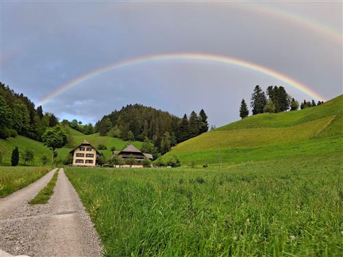 Ferieleilighet - 5 personer -  - Bowil - 3533