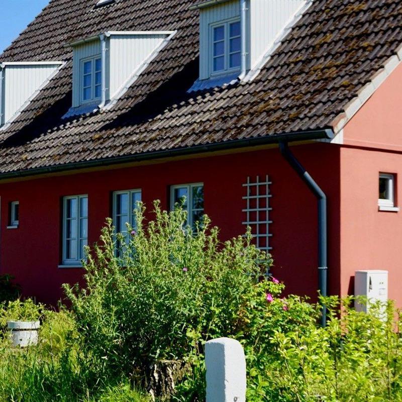 Sommerhus - 8 personer -  - Ossenrüher Weg - 24376 - Kappeln-Brodersby