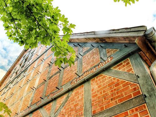 Ferielejlighed - 8 personer -  - Sagasfeld - 29473 - Göhrde