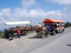 Bild 10 - Ude
