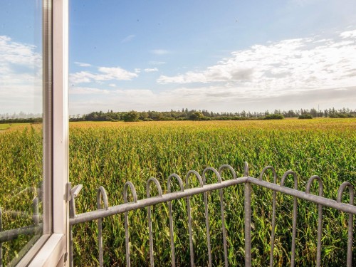 Fritidshus - 12 personer -  - Ballum Hede - Ballum - 6261 - Southern West Coast