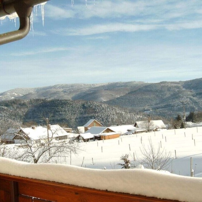 Sommerhus - 7 personer -  - 79692 - Kleines Wiesental - Sallneck