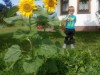 Billede 4